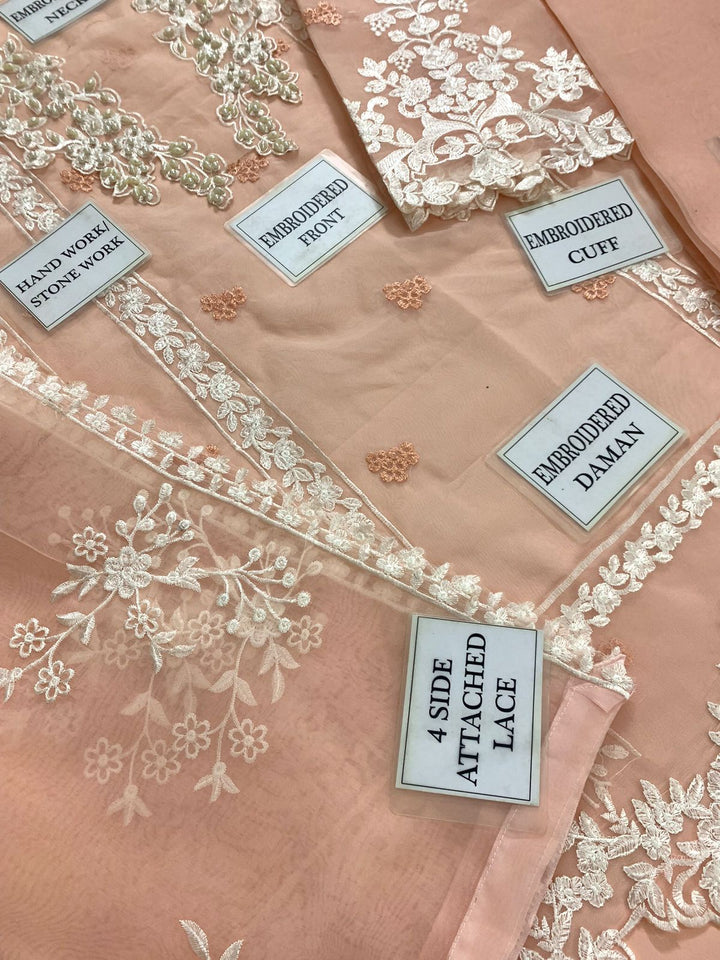 Azure Organza Suit-Aarasta