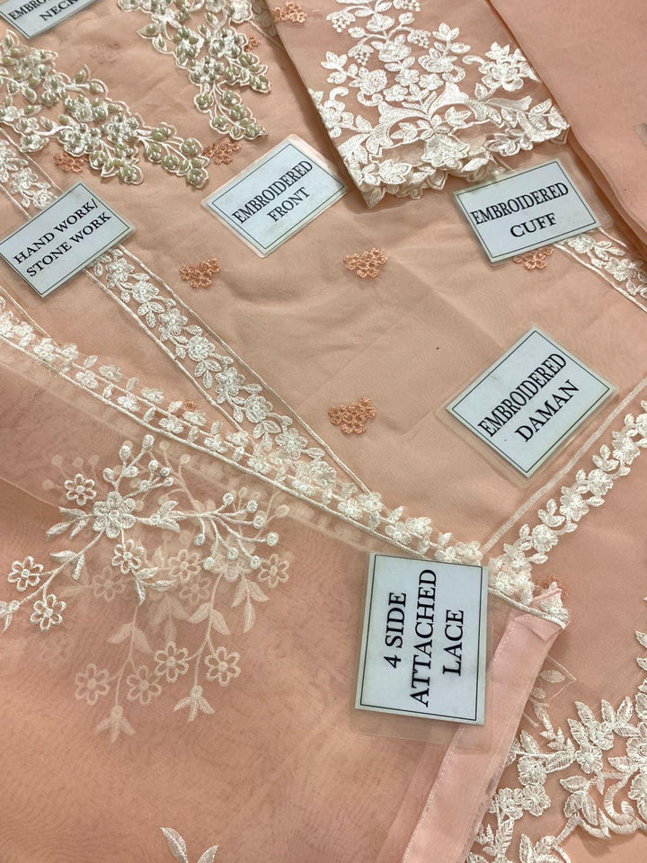 Azure Organza Suit-Aarasta