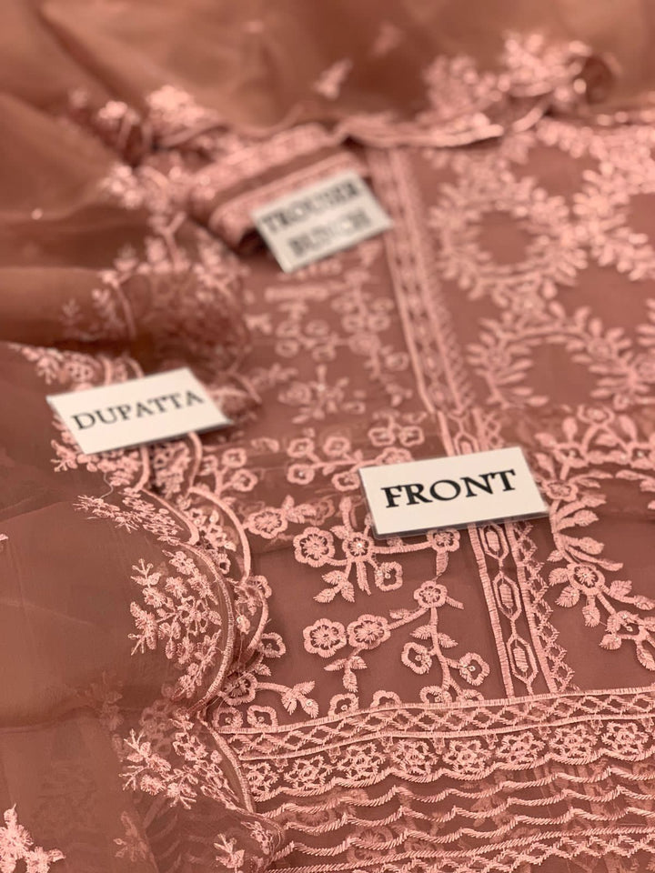 Azure Organza Suit-Aarasta