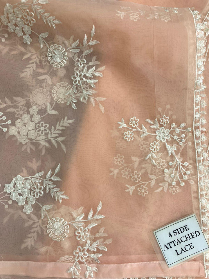 Azure Organza Suit-Aarasta