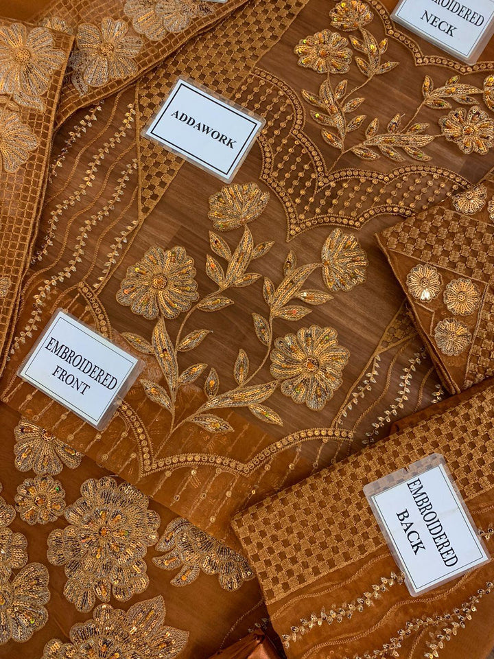 Azure Organza Suit-Aarasta