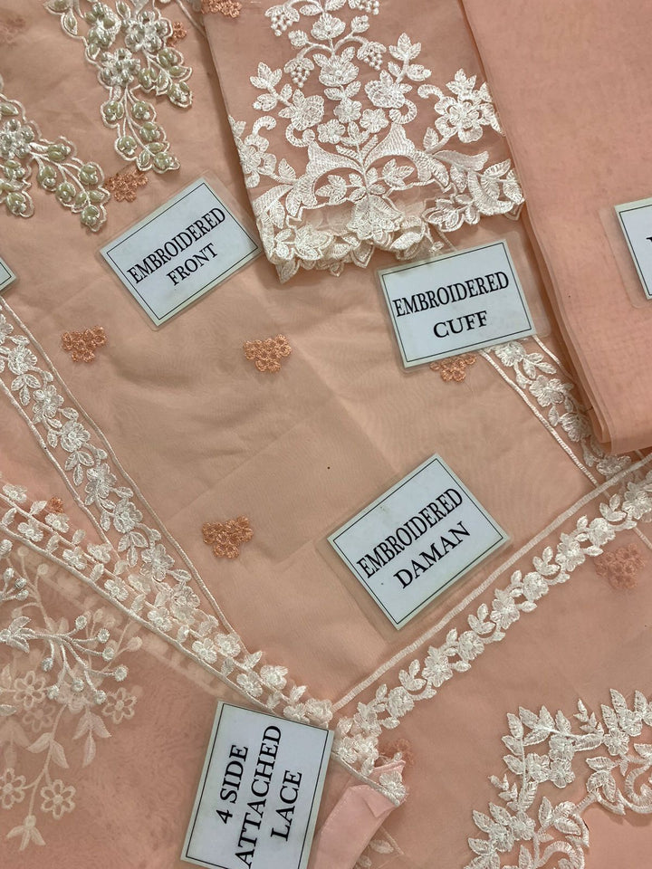 Azure Organza Suit-Aarasta