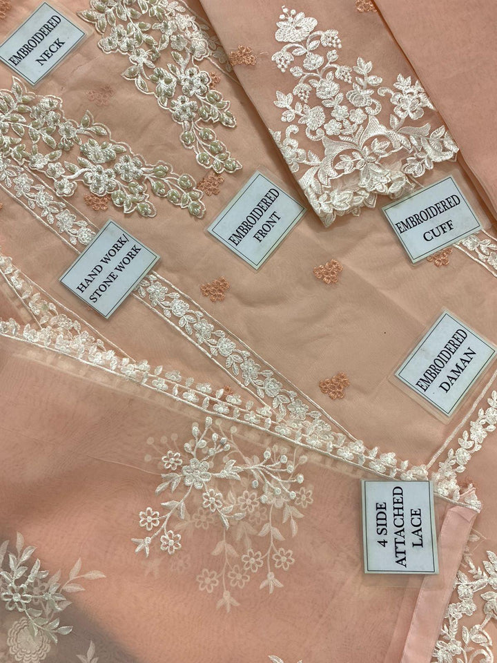 Azure Organza Suit-Aarasta