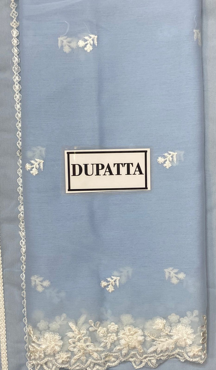 Azure Organza Suit-Aarasta