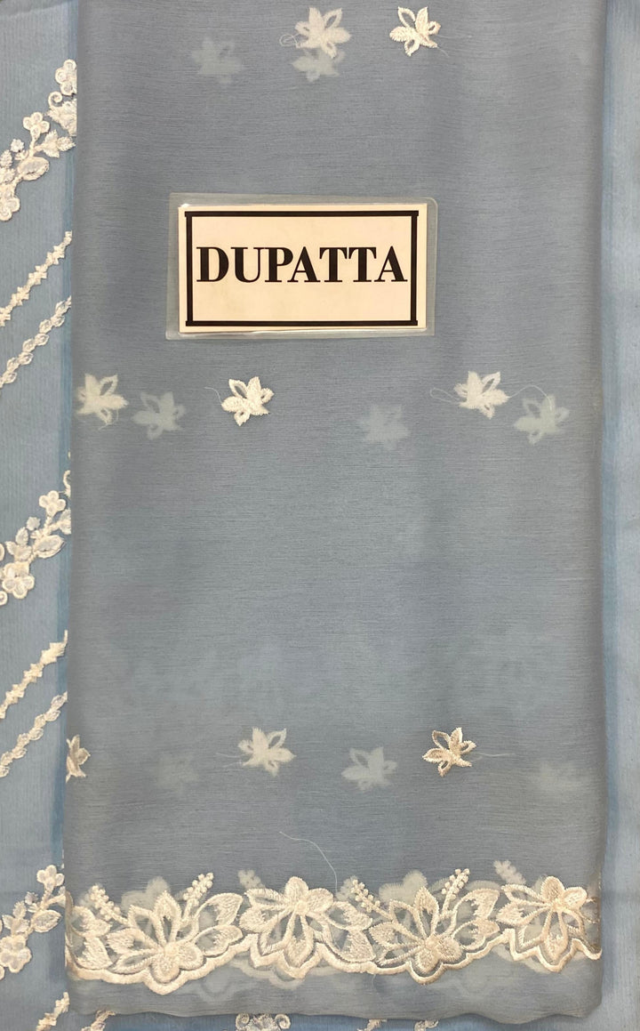 Azure Chiffon Suit-Aarasta