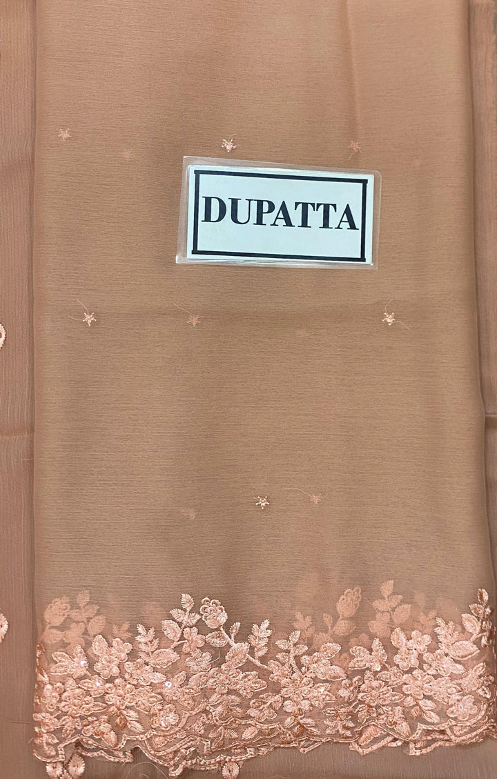 Azure Chiffon Suit-Aarasta