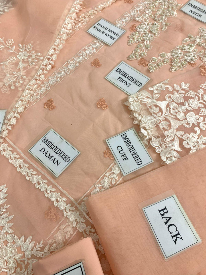 Azure Organza Suit-Aarasta