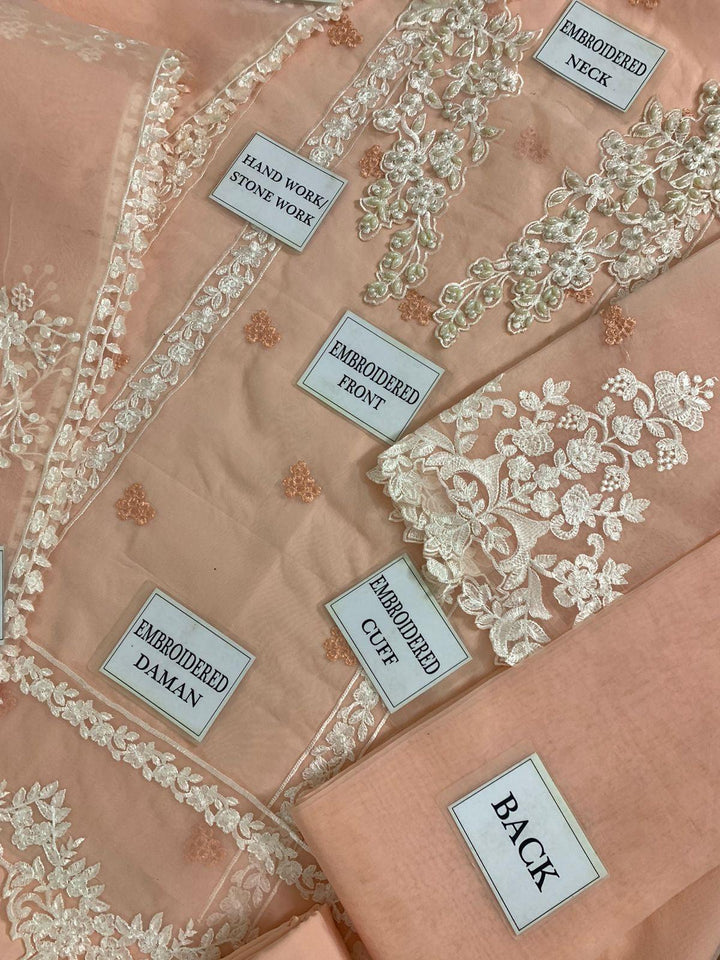 Azure Organza Suit-Aarasta