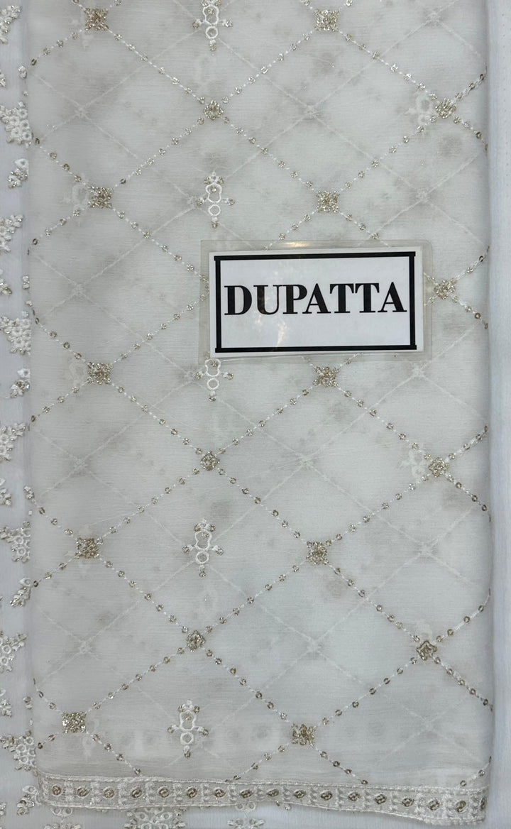 Azure Chiffon Suit-Aarasta