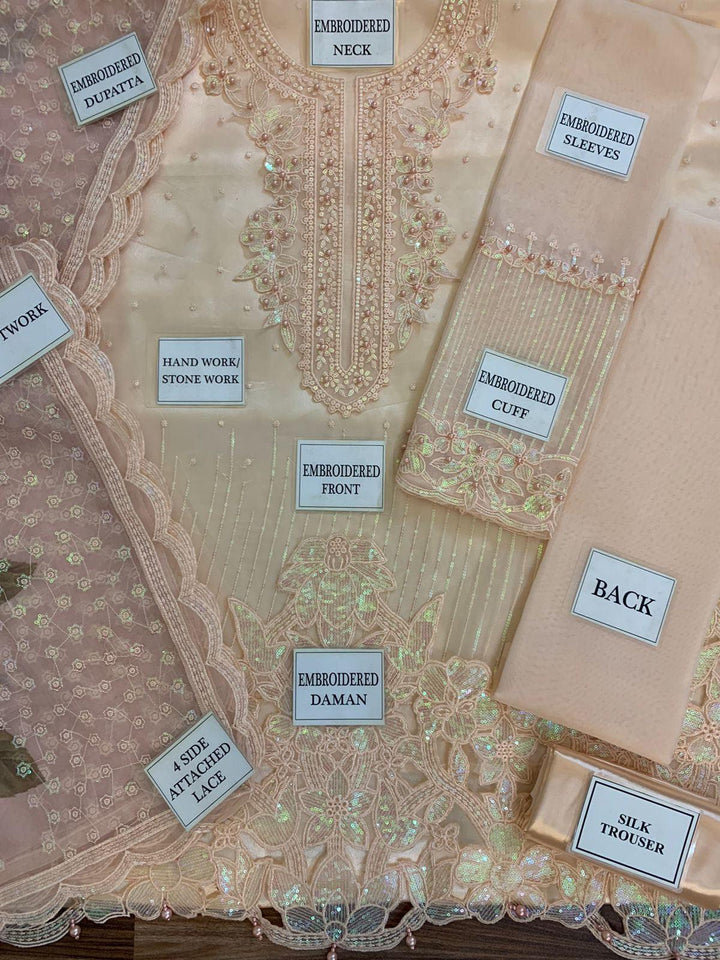 Baroque Organza Suit-Aarasta