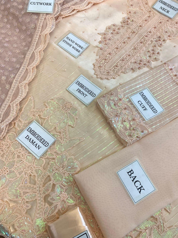 Baroque Organza Suit-Aarasta