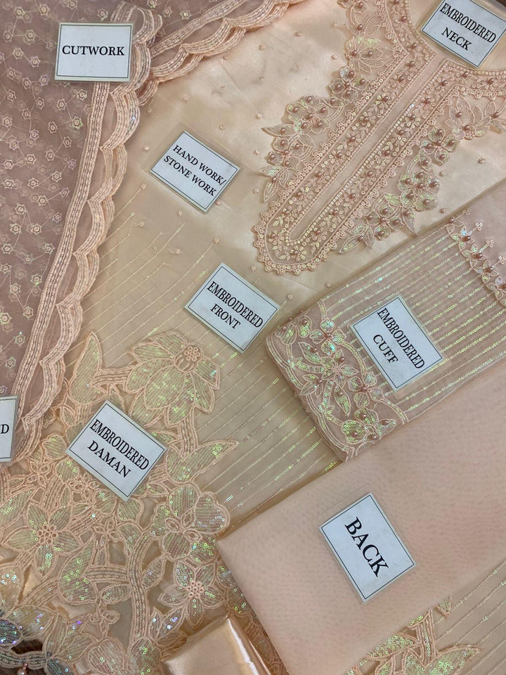 Baroque Organza Suit-Aarasta