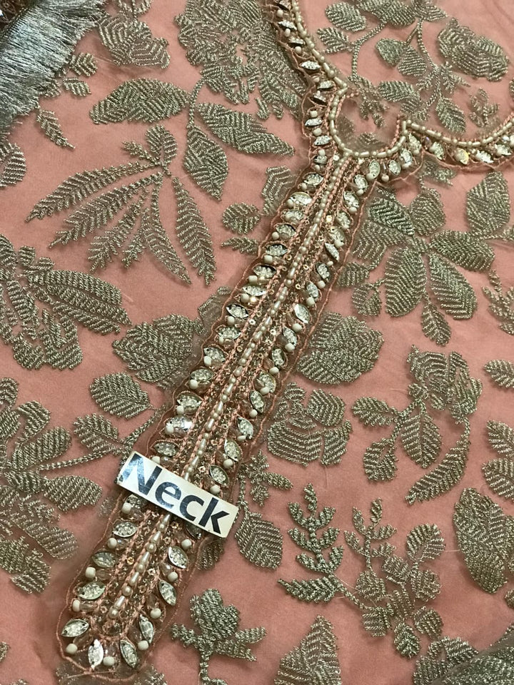 Jazmin Organza Suit-Aarasta