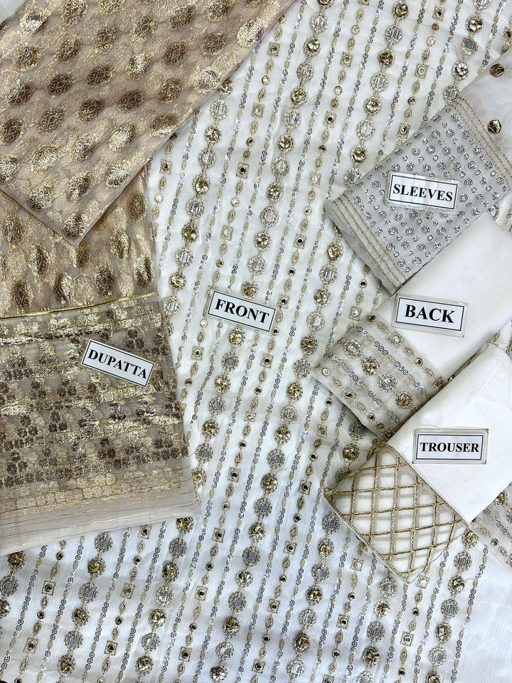 Charizma Chiffon Suit-Aarasta