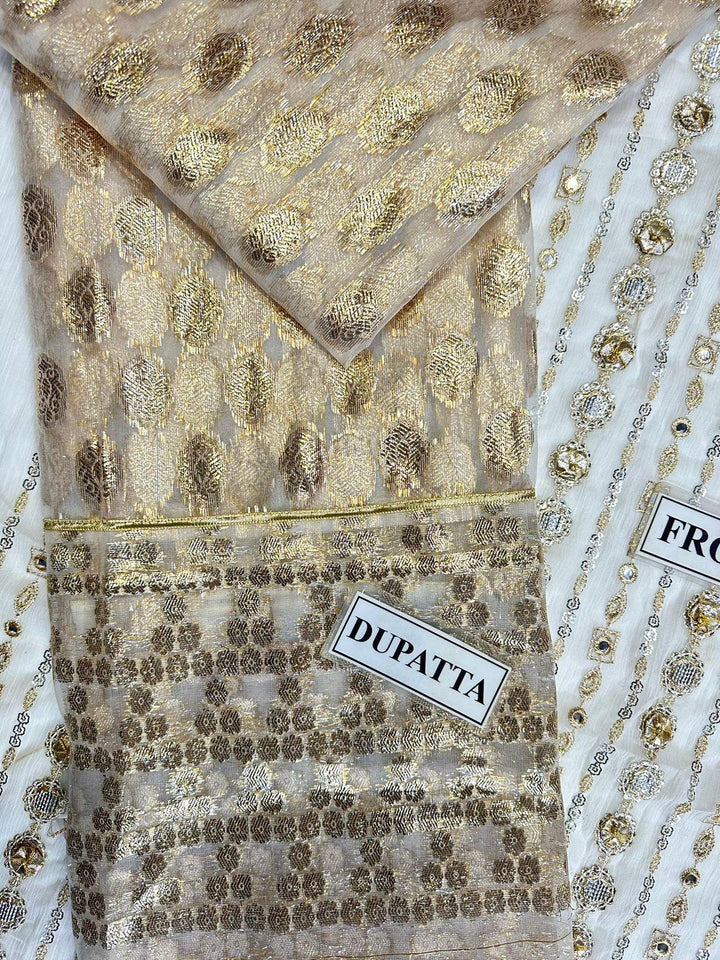 Charizma Chiffon Suit-Aarasta