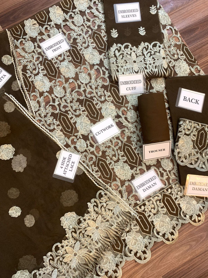 Elaf Organza Suit-Aarasta