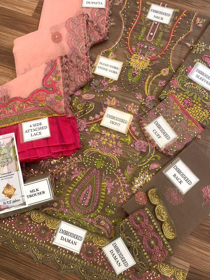 Elaf Organza Suit-Aarasta