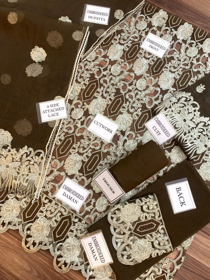 Elaf Organza Suit-Aarasta