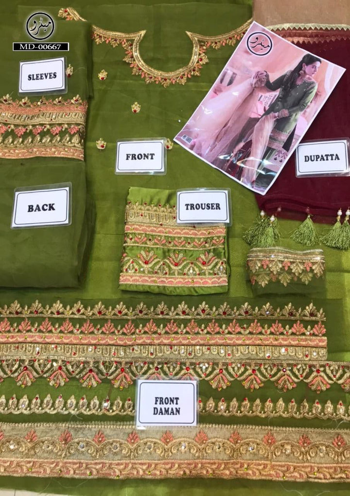 Erum Khan Organza Suit-Aarasta