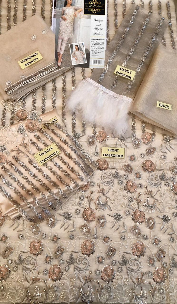 Erum Khan Organza Suit-Aarasta