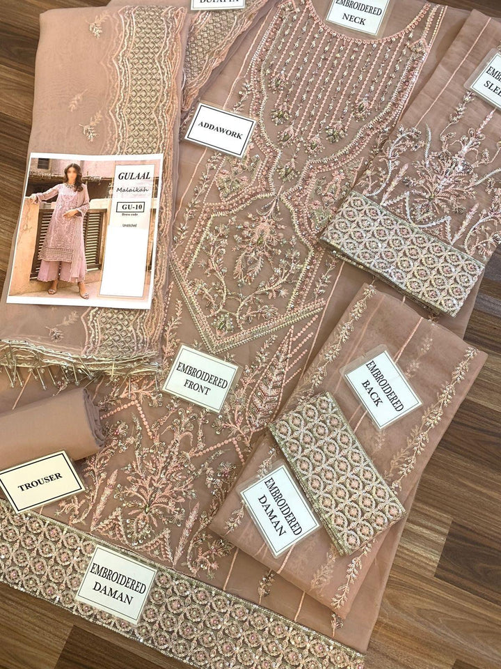 Gulaal Organza Suit-Aarasta