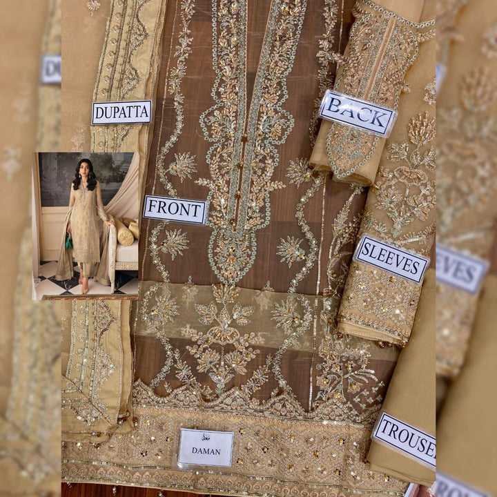 Gulaal Organza Suit-Aarasta