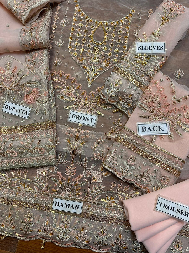 Gulaal Organza Suit-Aarasta