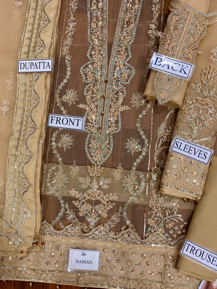 Gulaal Organza Suit-Aarasta