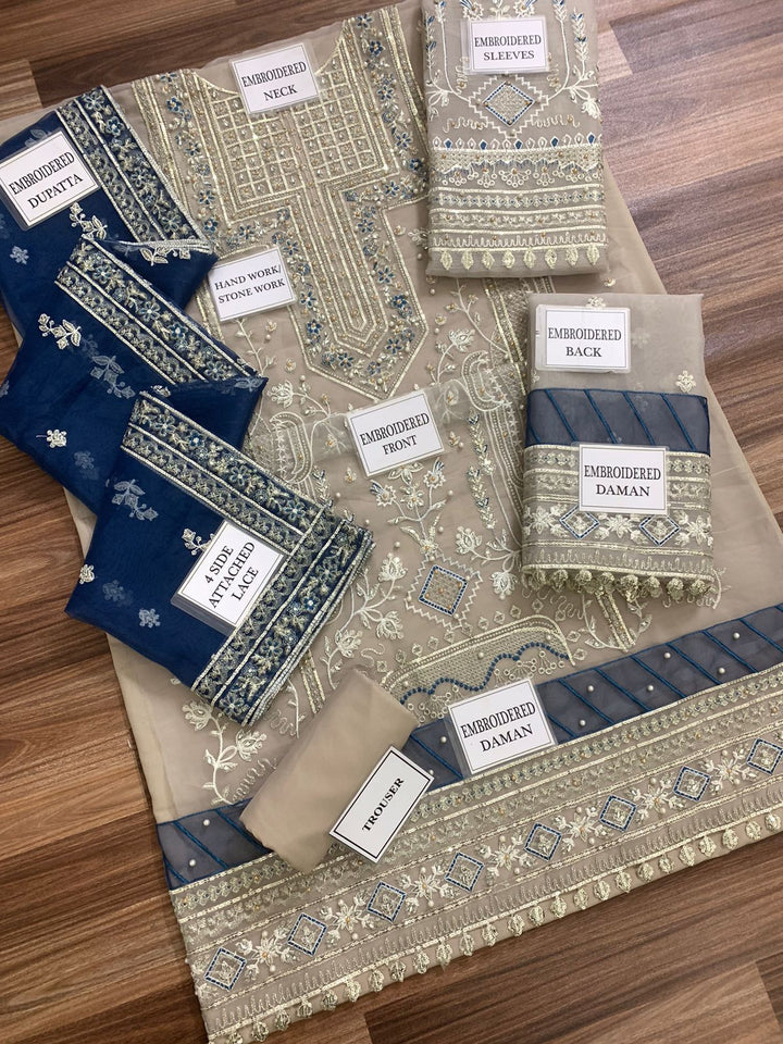 Gulaal Organza Suit-Aarasta