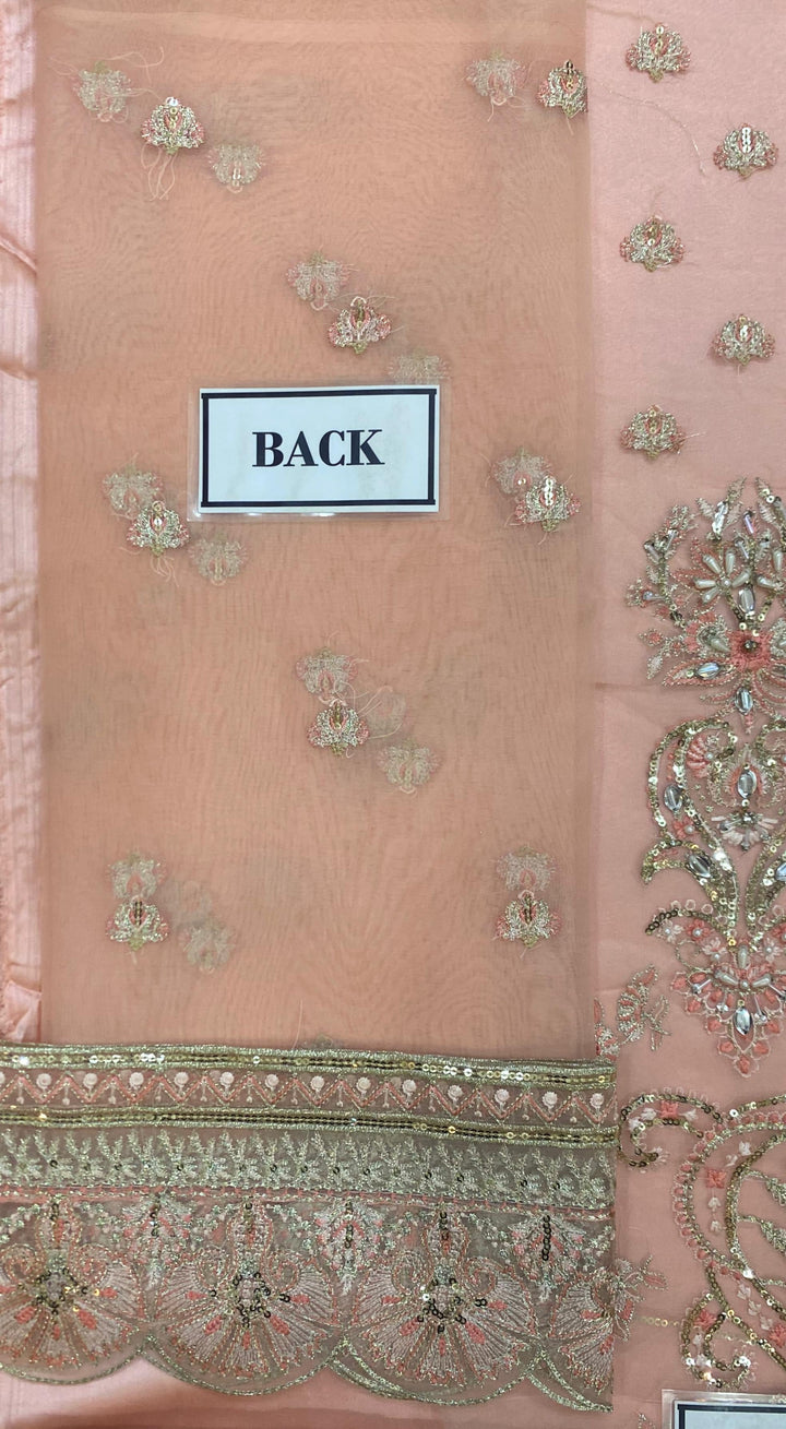 Gulaal Organza Suit-Aarasta