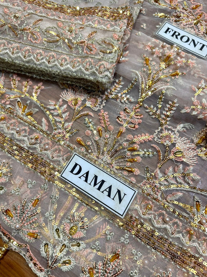 Gulaal Organza Suit-Aarasta