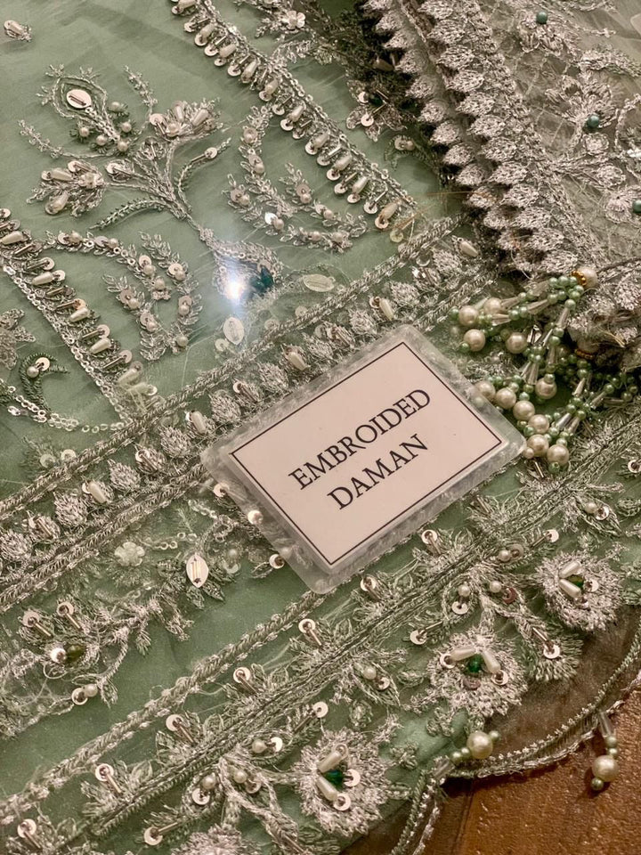 Gulaal Organza Suit-Aarasta