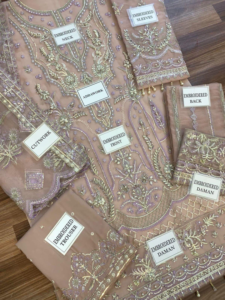 Gulaal Organza Suit-Aarasta