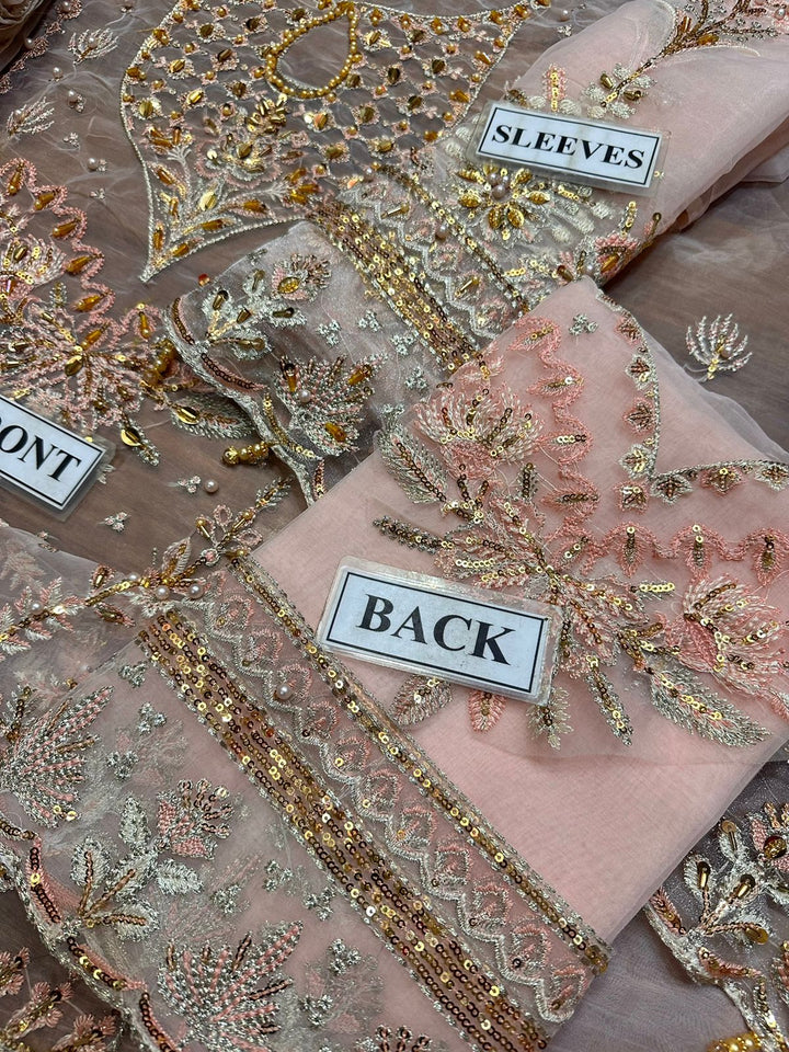 Gulaal Organza Suit-Aarasta