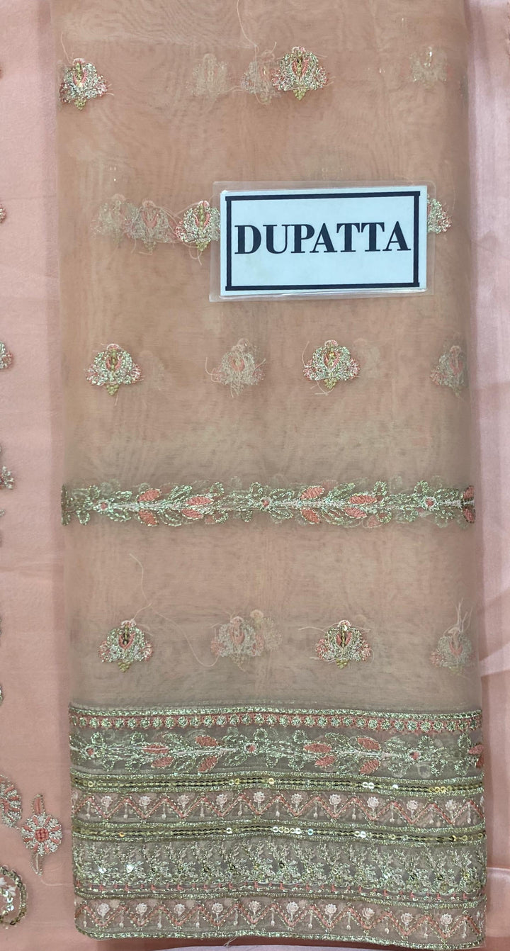 Gulaal Organza Suit-Aarasta