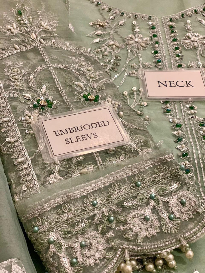 Gulaal Organza Suit-Aarasta