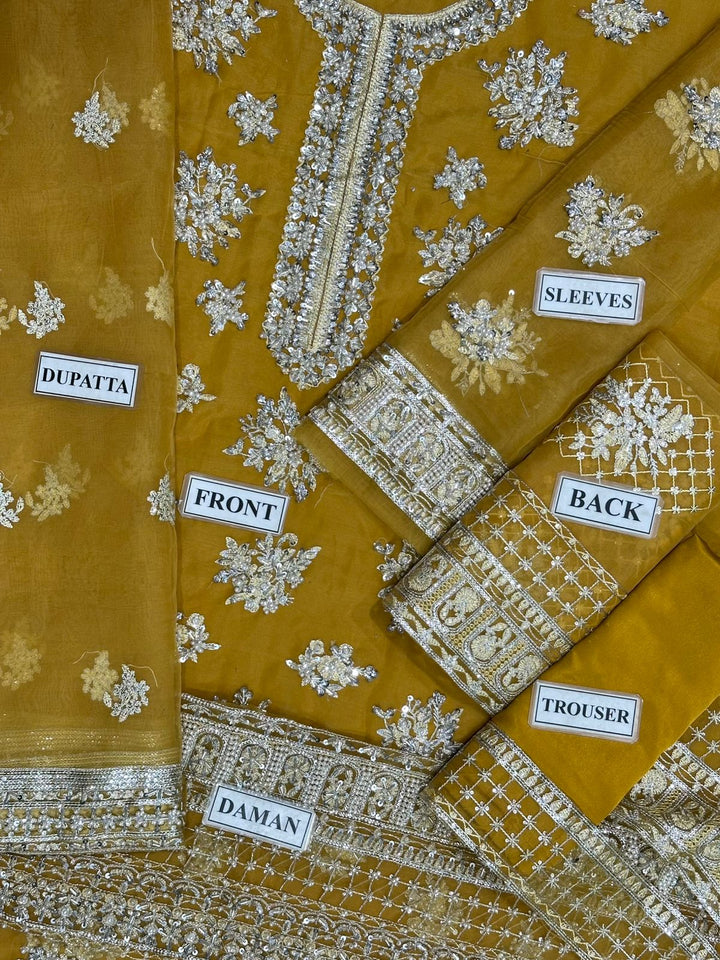 Hussain Rehar Organza Suit-Aarasta