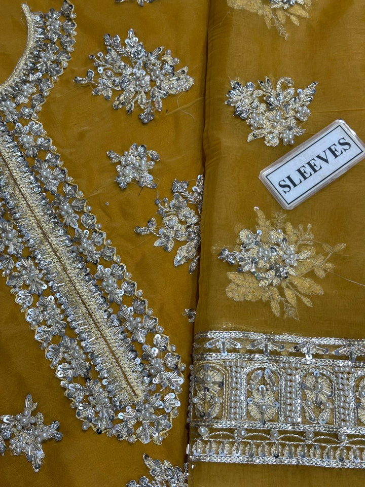 Hussain Rehar Organza Suit-Aarasta