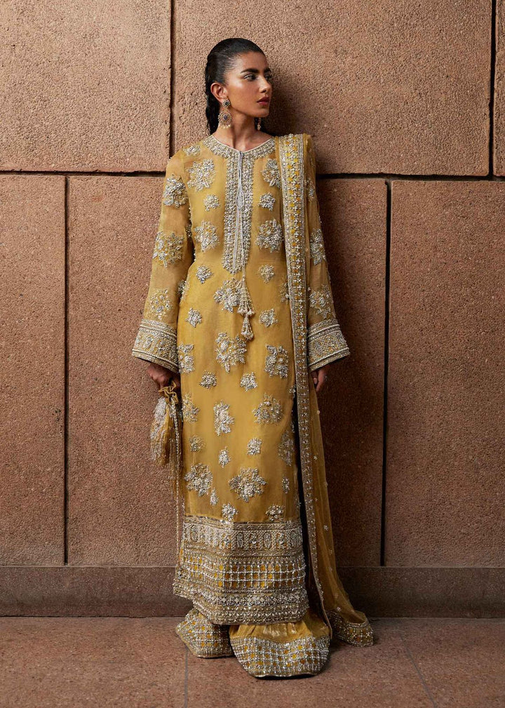 Hussain Rehar Organza Suit-Mustard-Organza-Aarasta