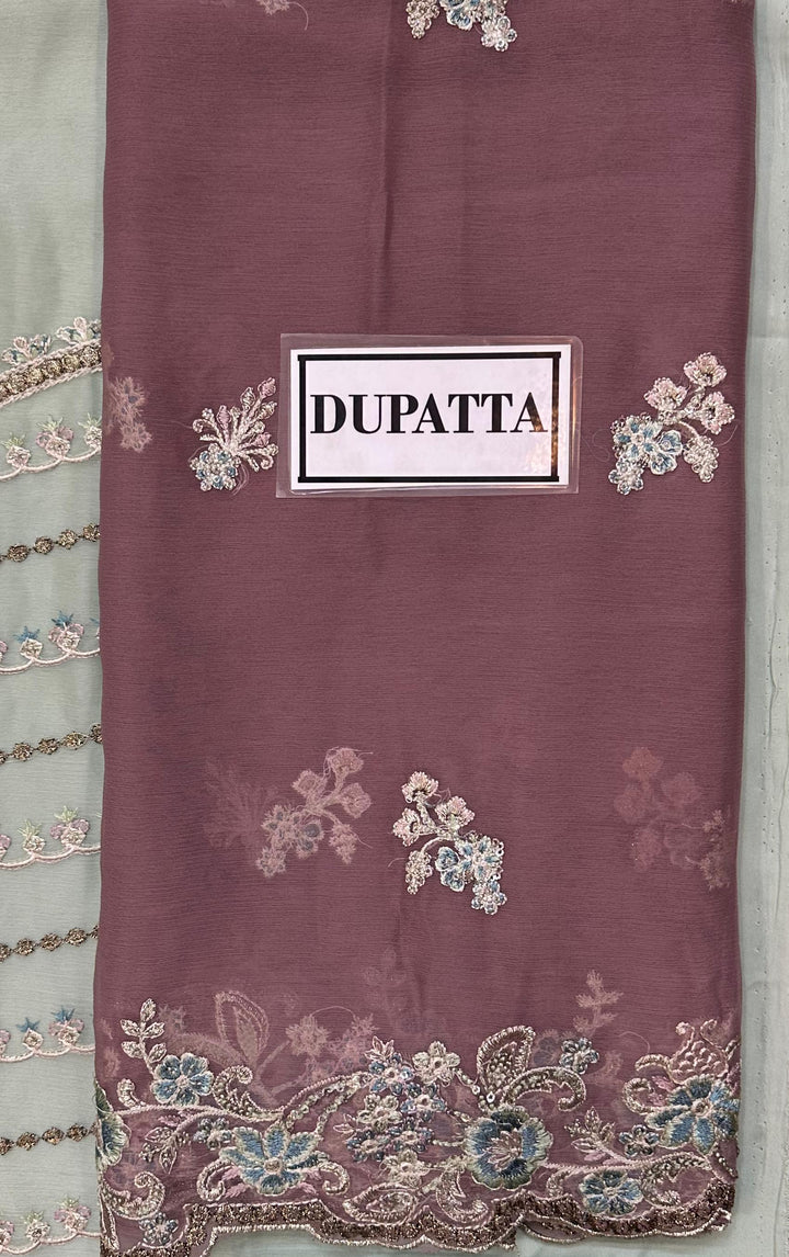 Imrozia Organza Suit-Aarasta