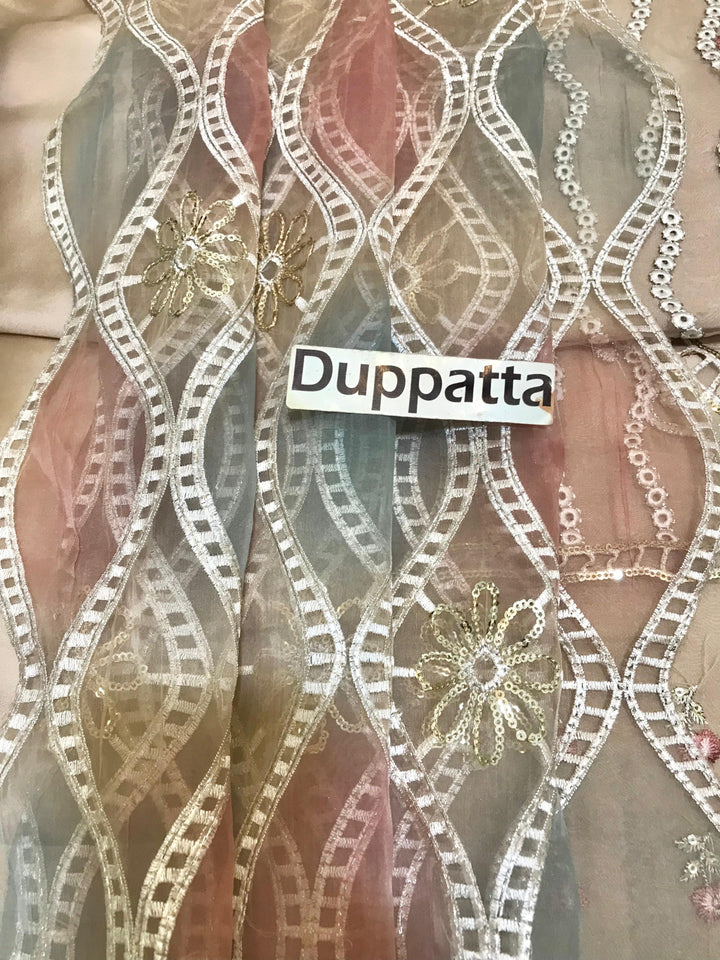 Imrozia Organza Suit-Aarasta