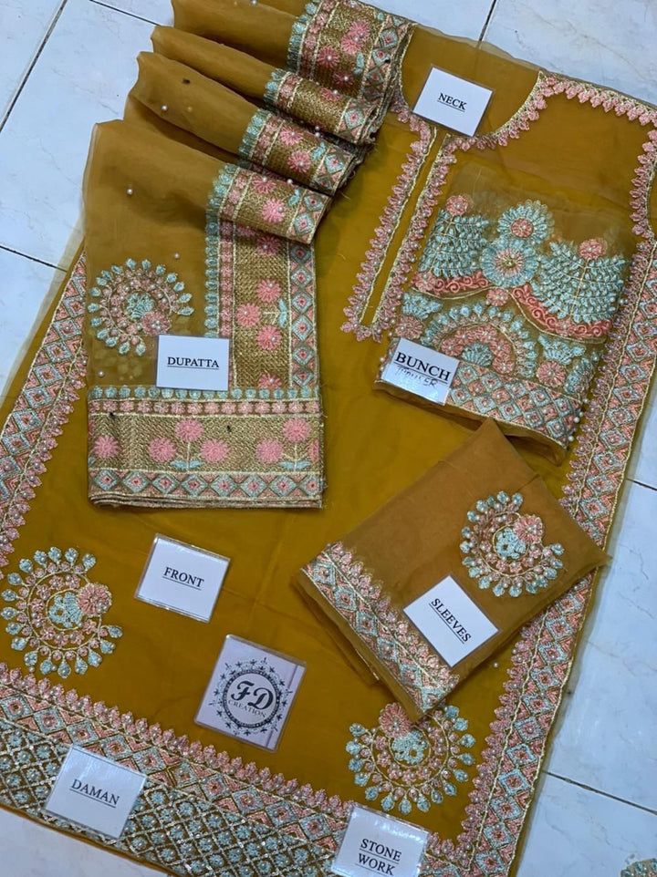 Akbar Aslam Organza Suit-Aarasta