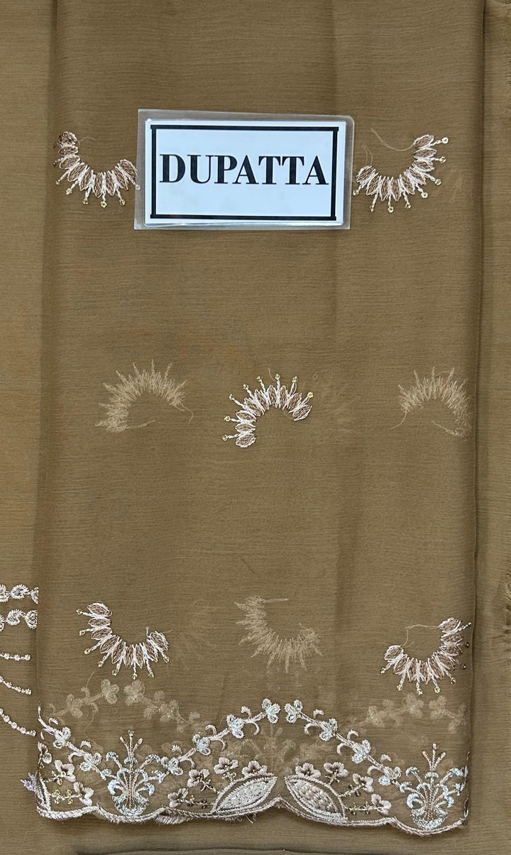 Laavish Chiffon Suit-Aarasta