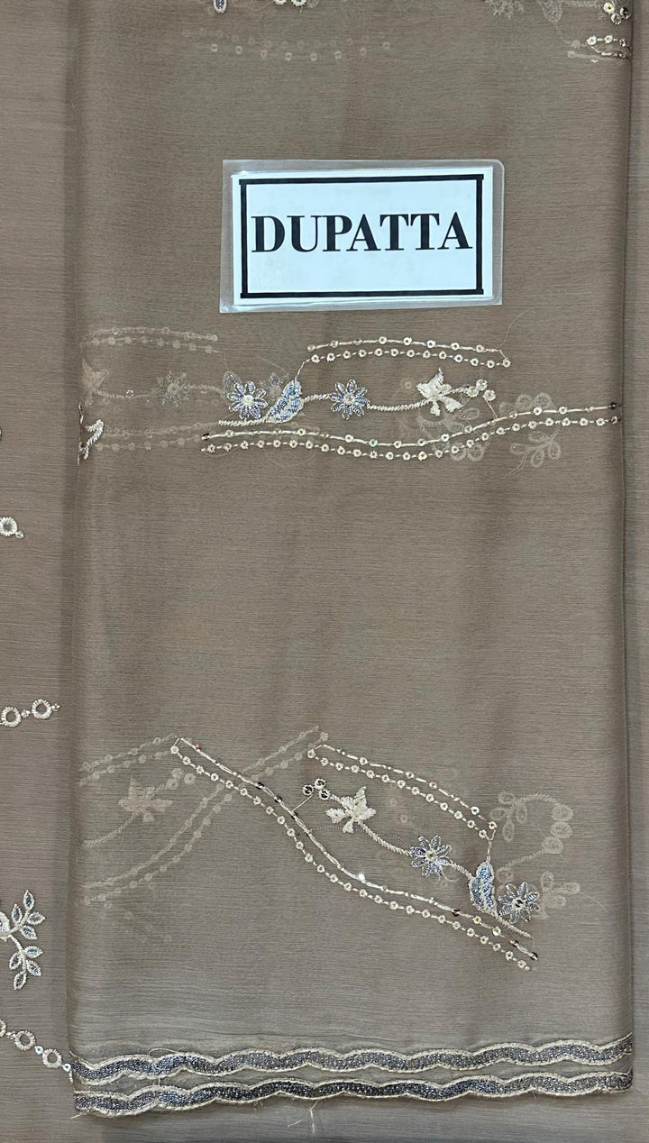 Laavish Chiffon Suit-Aarasta