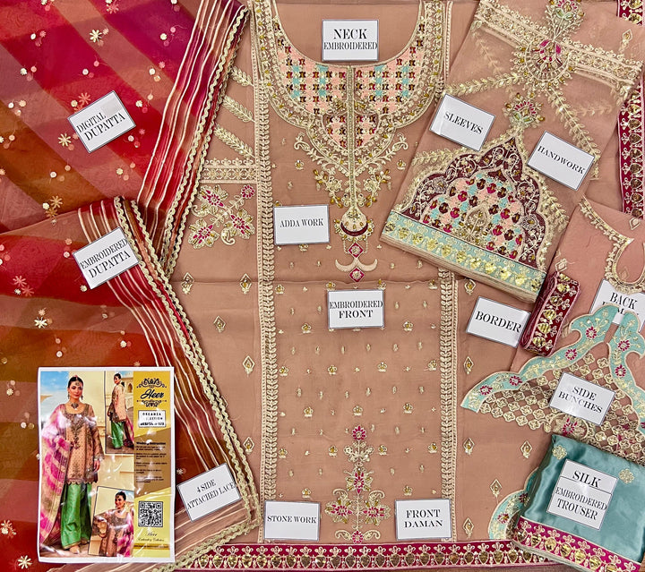 Maria B Organza Suit-Aarasta