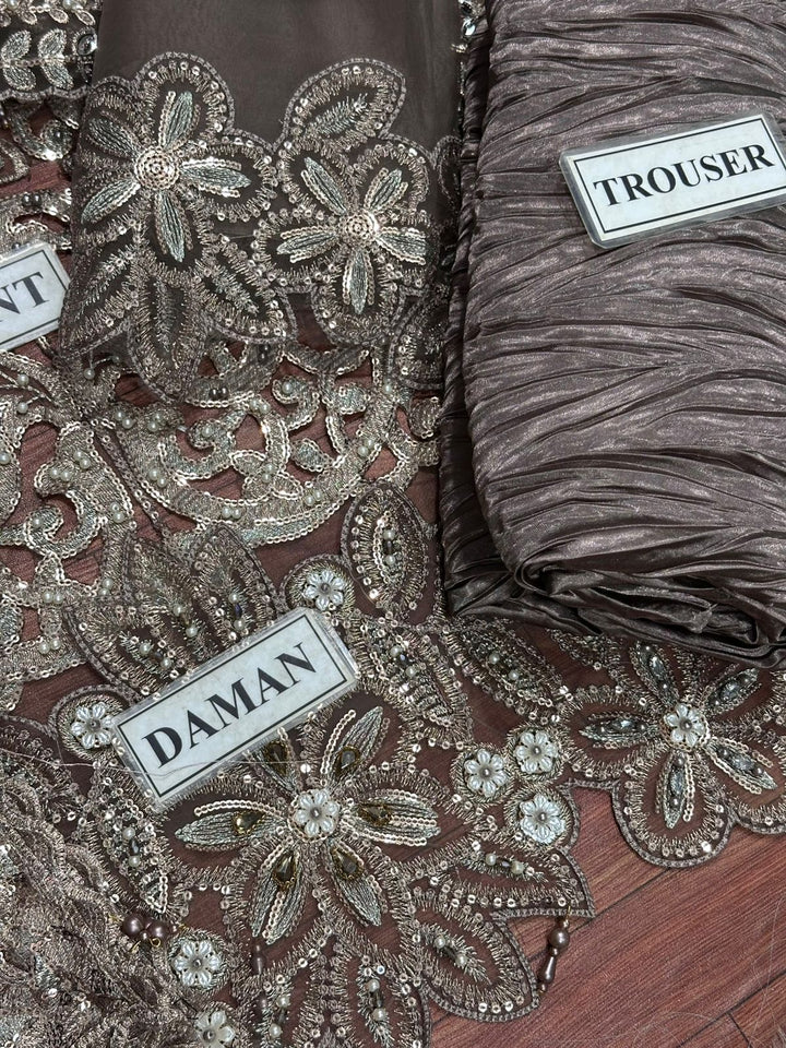 Maria B Organza Suit-Aarasta