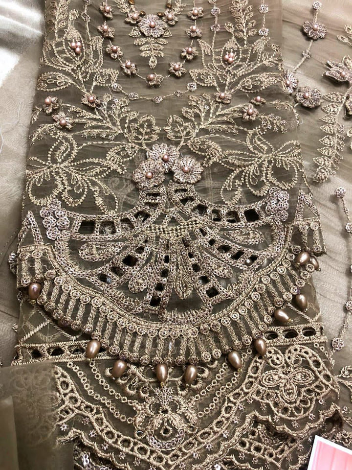 Maria B Organza Suit-Aarasta