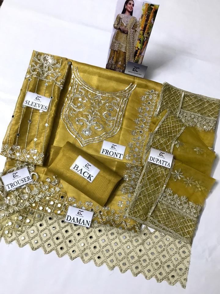 Mina Hassan Masuri Suit-Aarasta