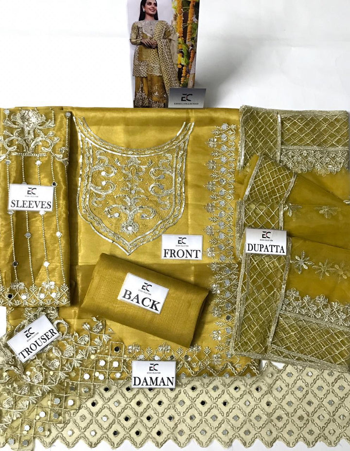 Mina Hassan Masuri Suit-Aarasta