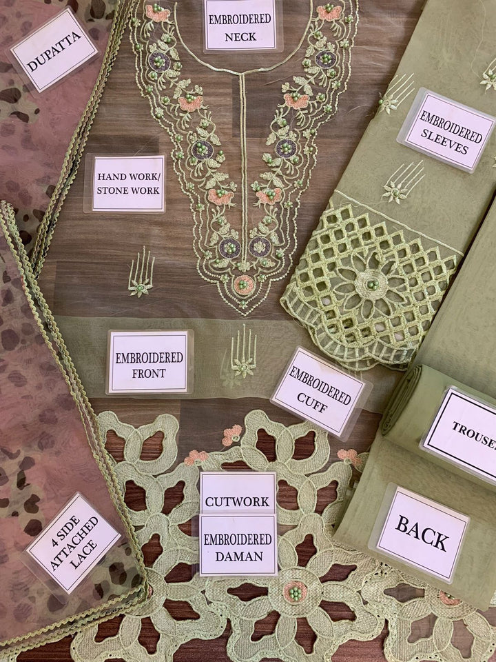 Mushq Organza Suit-Aarasta